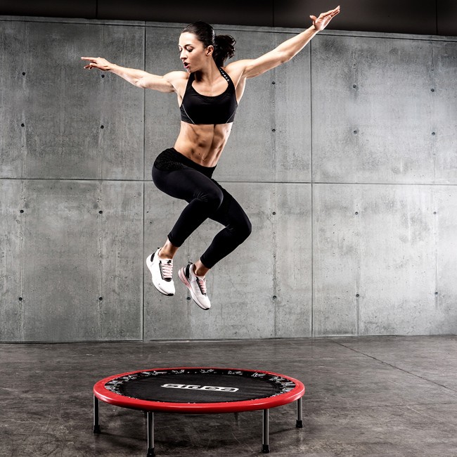 https://islafitcanarias.com/wp-content/uploads/2018/08/0459-Gym-ball-display-1.jpg