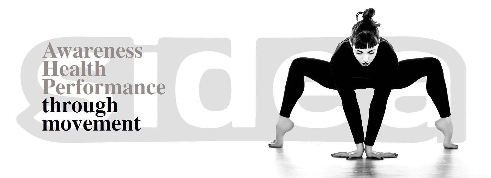 https://islafitcanarias.com/wp-content/uploads/2018/08/0459-Gym-ball-display-1.jpg