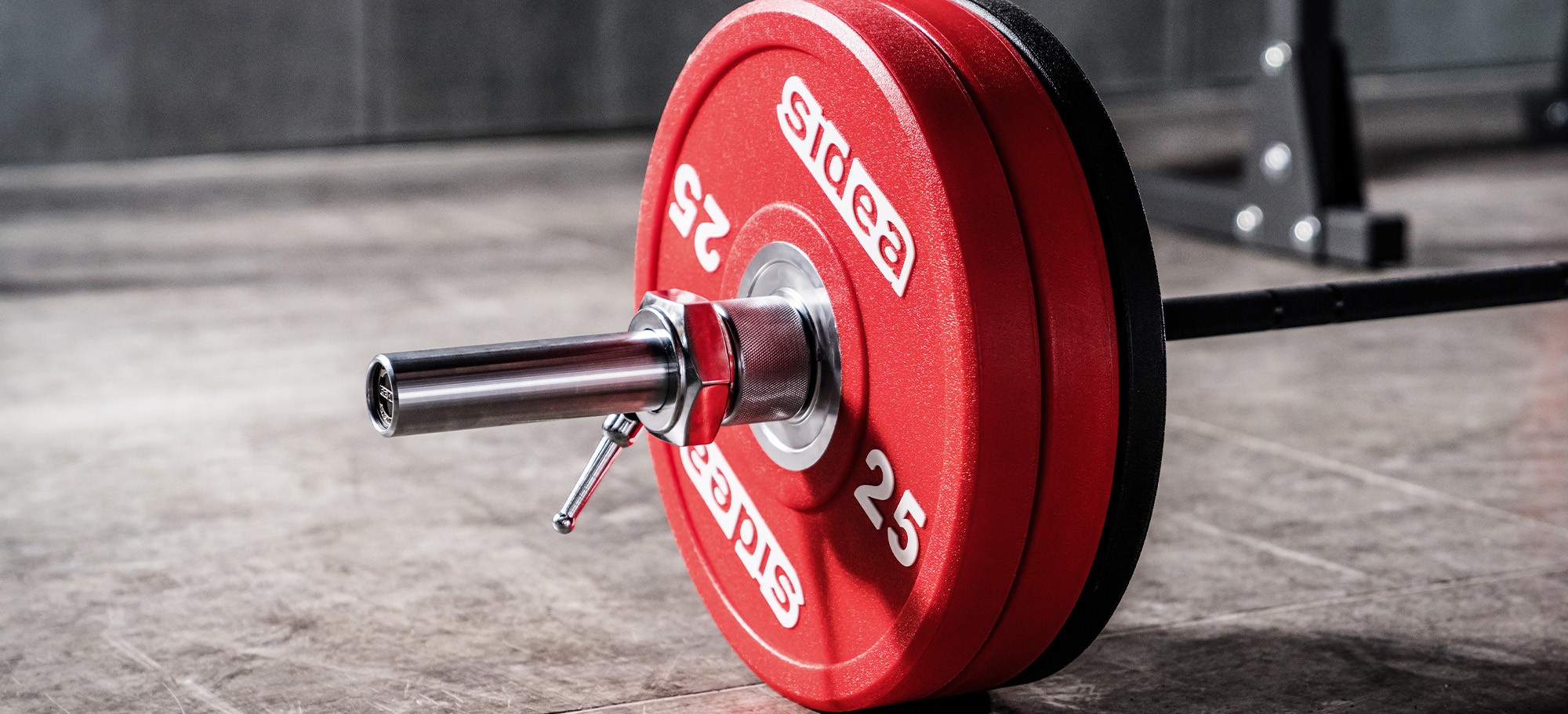 https://islafitcanarias.com/wp-content/uploads/2018/08/0459-Gym-ball-display-1.jpg