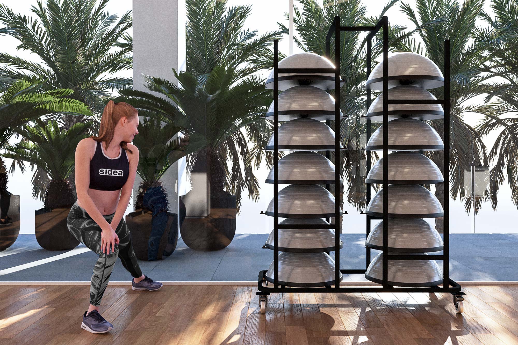https://islafitcanarias.com/wp-content/uploads/2018/08/0459-Gym-ball-display-1.jpg