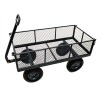 4151 Fitness Hand Cart Trolley