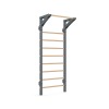 9102 Functional Wall Bars Pro