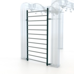 OR16001-16002 Gym Ladder